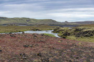 Summer colors in Iceland