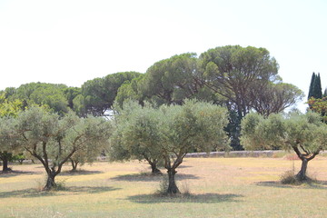 lourmalin provence