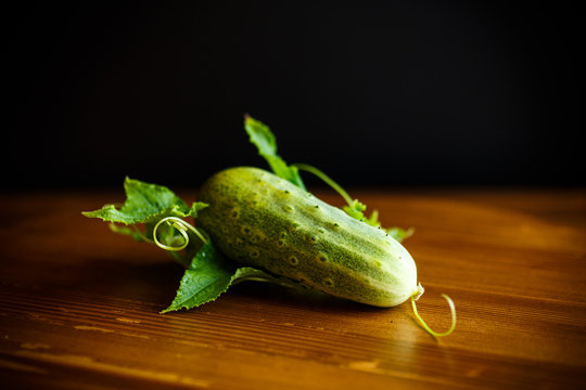 fresh green cucumbers on a wooden table