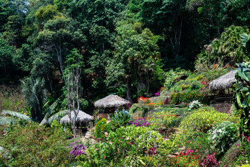 giardino floreale