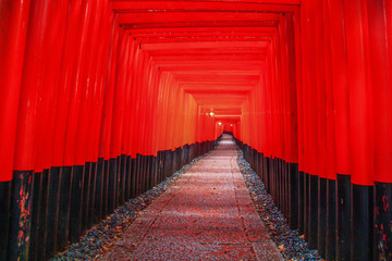 Kyoto, Japan - the Fushimi Inari-taisha is probably the most famous shrine in Kyoto, with its red torii shaping paths accross the mountain