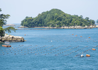 Obraz premium 九十九島の海で見られる真珠養殖のいかだ（長崎県佐世保市）