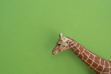 An animal is a children's toy.