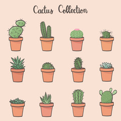Cactus Collection -  hand drawn vector illustration, eps10
