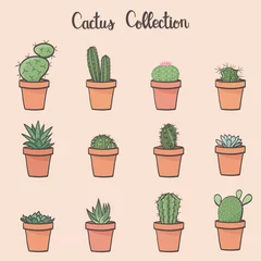 Fotobehang Cactus in pot Cactus collectie - hand getrokken vectorillustratie, eps10
