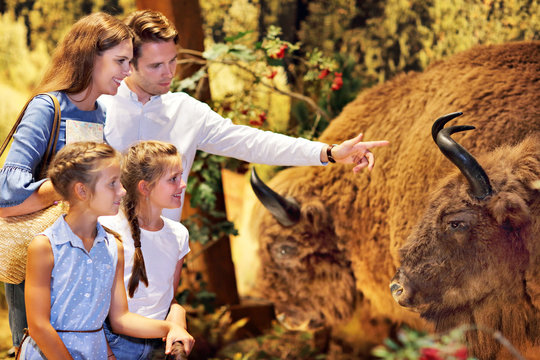 Joyful Family In Nature Museum