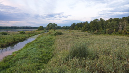 Naklejka premium Der Pfefferfließ im Naturpark Nuthe-Nieplitz
