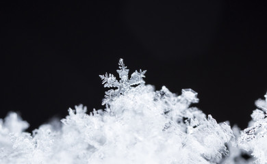 winter card, photo real snowflakes on snow