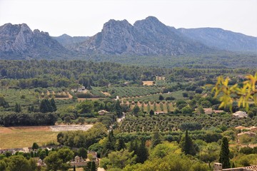 Obraz premium provence