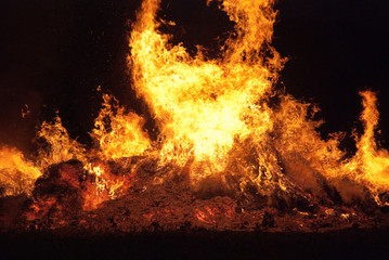 Brûlage des vieilles lavandes sur le Plateau de Valensole