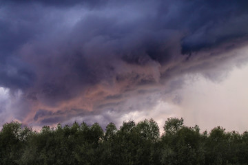 the sky during a thunderstorm over the forest