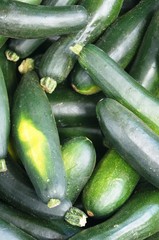Schlangengurken, viele,gemüse, essen, gurke, frisch, zucchini, green, gesund, isoliert, vegetarier, bio, weiß, zutat, roh, diät, absatzmarkt, ernährung, ackerbau, frische, reif, salat, squash, 