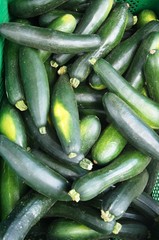 Schlangengurke,zucchini, gemüse, essen, green, frisch, gesund, vegetarier, weiß, squash, gurke, bio, roh, diät, zutat, ackerbau, reif, mark, ernährung, frische, keine reste, cucumbers, 
