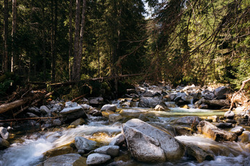 Naklejka na ściany i meble Beautiful stream in the High Tatra.