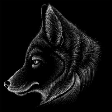 The Vector logo foxfor T-shirt design or outwear.  Hunting style fox background.