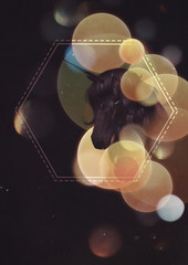Unicorn portrait with yellow bokeh © AnnaPa