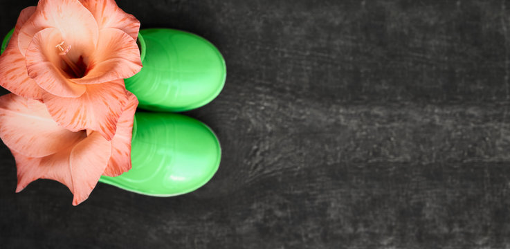 Pink gladiolus flower in green children garden boots on dark wooden background, top view, copy space - Powered by Adobe