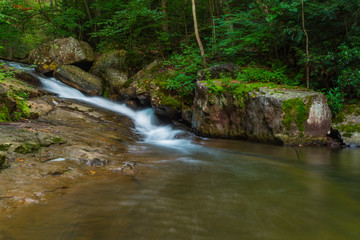 Fototapeta premium Forest Waterfall, Long Exposure Of Stream Cutting Through BedRocks