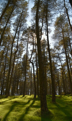 Peak District National Park