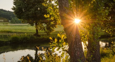 Foto auf Acrylglas Sonnenuntergang zwischen Bäumen und Fluss © Corri Seizinger