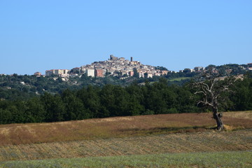 Fototapeta na wymiar panorama di Manciano nella Maremma Toscana