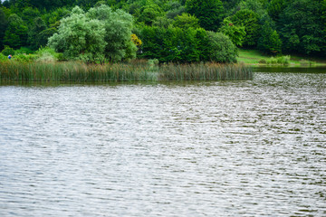 Amazing lake landscape with grasses in the water and forest, Tsover lake, Dsegh, Armenia