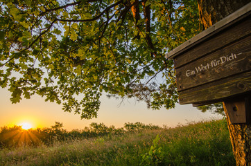 Grusskarte - Ein Wort für dich