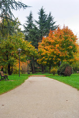 Colorful autumn in the park