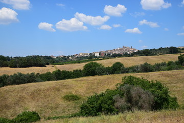 Fototapeta na wymiar Manciano - paesaggio nella Maremma Toscana