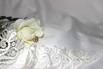Obraz na płótnie Canvas wedding background. Gold ring on a white rose background