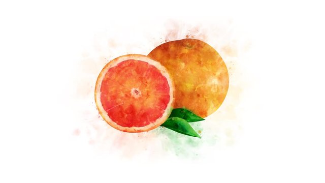 Animated Grapefruit elements for video editing