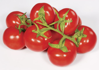 Tomato. Tomato branch. Tomatoes isolated on white