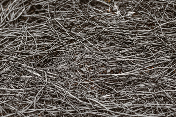 Scorched grass land. Directly above view