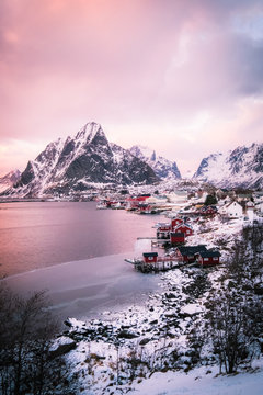 Famous tourist attraction of Reine in Lofoten, Norway with red rorbu houses water reflection on sunshine day.