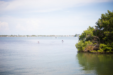 Peaceful Outdoor Scene of Ocean Bay, Islands, and Nature