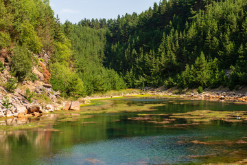 Beautiful lake in a small canyon surrounded by forest and woodland (Blaencuffin, Wales)