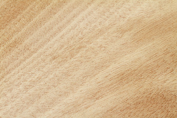Wood texture background.