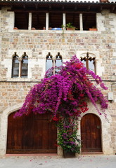 Fachada antigua restaurada y arbusto con flores