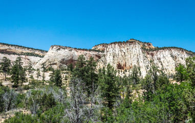Canyon Rocks in Zion National Park, Utah, USA