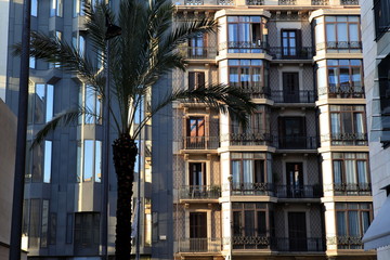 Edificio balcones glorietas y palmera