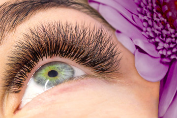Eyelash Extension Procedure. Woman Eye with Long false Eyelashes. Close up macro shot of fashion...