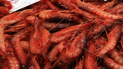 Marisco,gambas,rojas