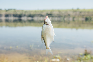 Fisherman caught a fish in river outdoor nature