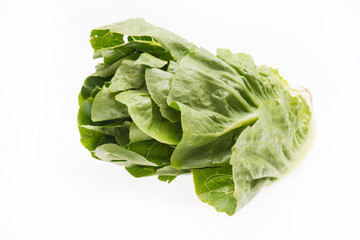 Frischer Salat isoliert auf weißem Hintergrund