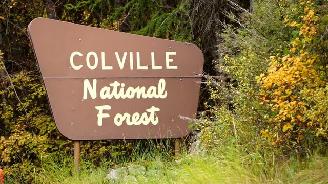 The Outdoor Wooden Roadside Sign Says Colville National Forest