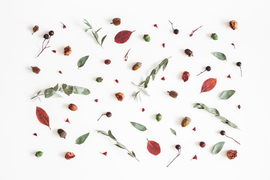 Autumn composition. Pattern made of eucalyptus branches, rose flowers, dried leaves on white background. Autumn, fall concept. Flat lay, top view