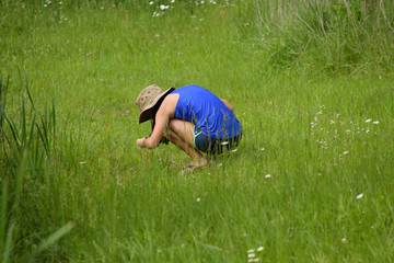 Fototapeta na wymiar girl exploring outdoors in summer grass