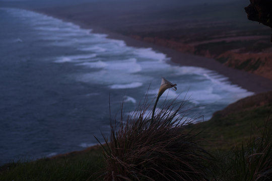 Point Arena Lighthouse sunset 
