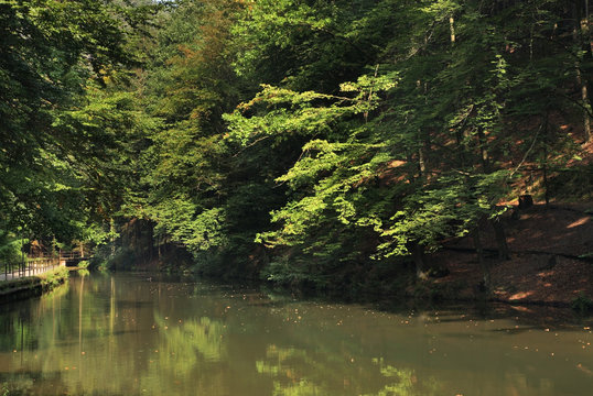 Grunbach &ndash; Green Bach at Saxon Switzerland National Park near Rathen village. Germany