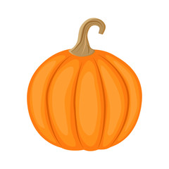 Colorful pumpkin vector illustration isolated on white backgroun
